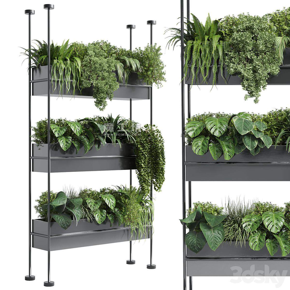 Stand Wall Decor With Shelves For The Closet Or Showcase Plants Collection 179 Vray 2015 3D模型