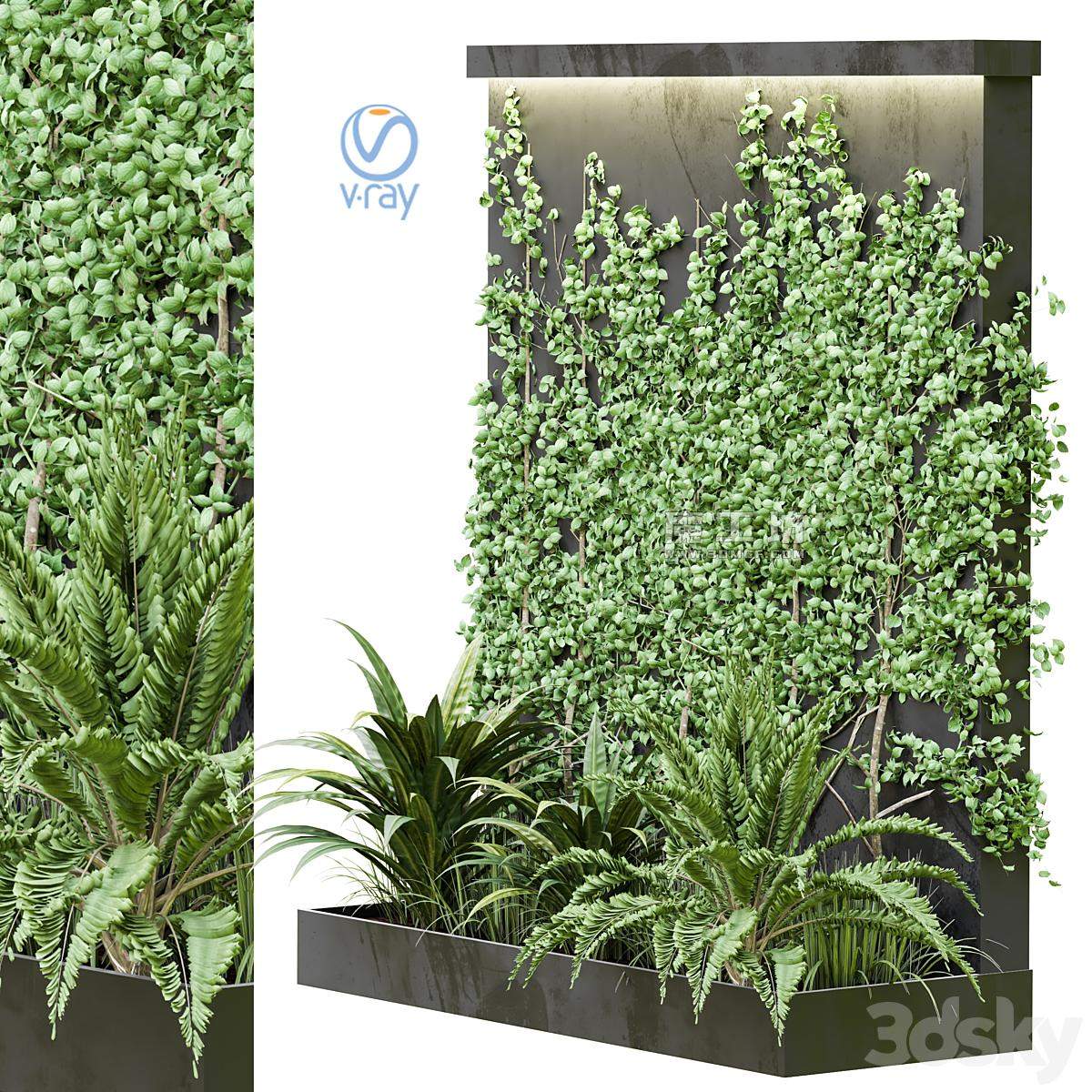 Outdoor Plant Vol38 2015 3D模型