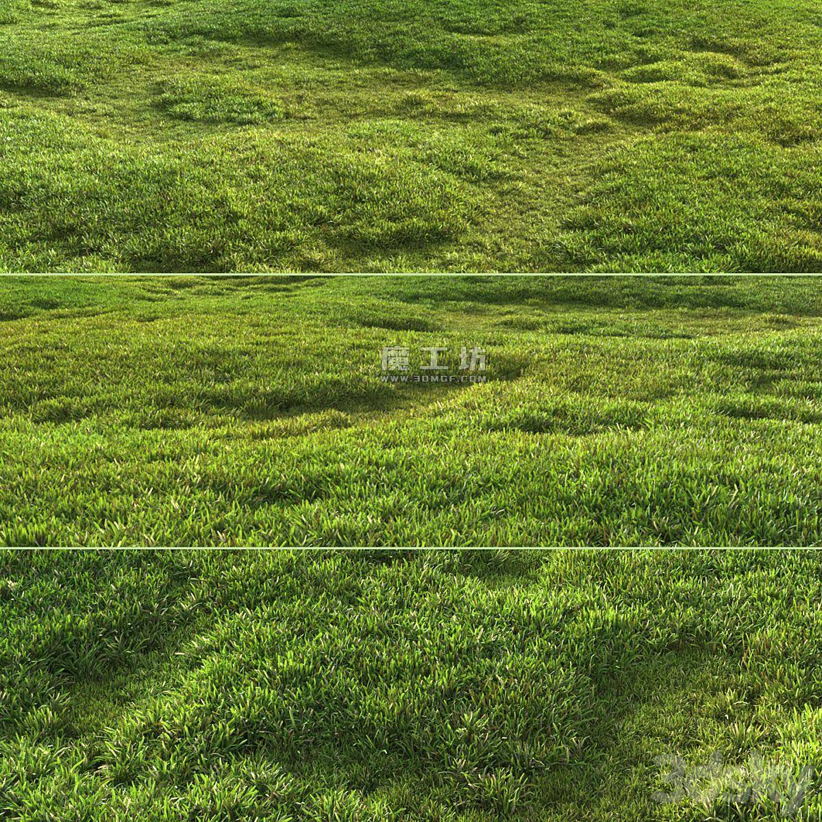 Tileable Grass Corona 3D模型