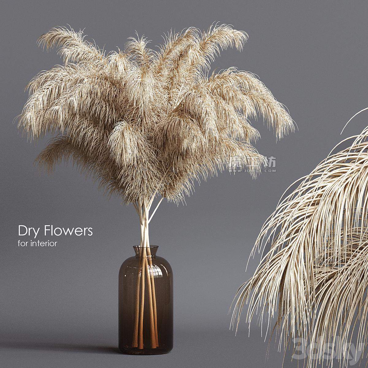Dry Flowers 3D模型