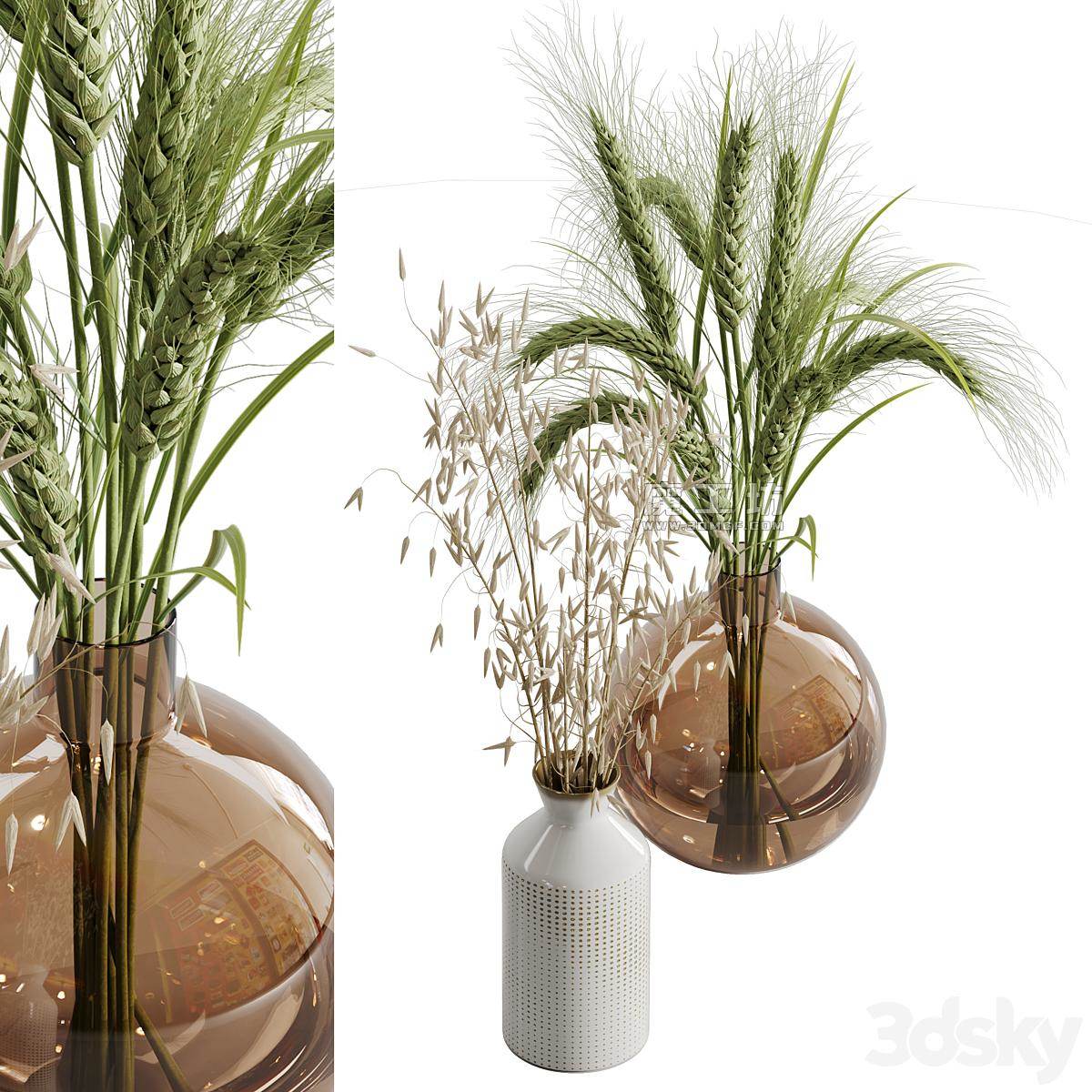 Dry Plant Set 02 Vray 3D模型