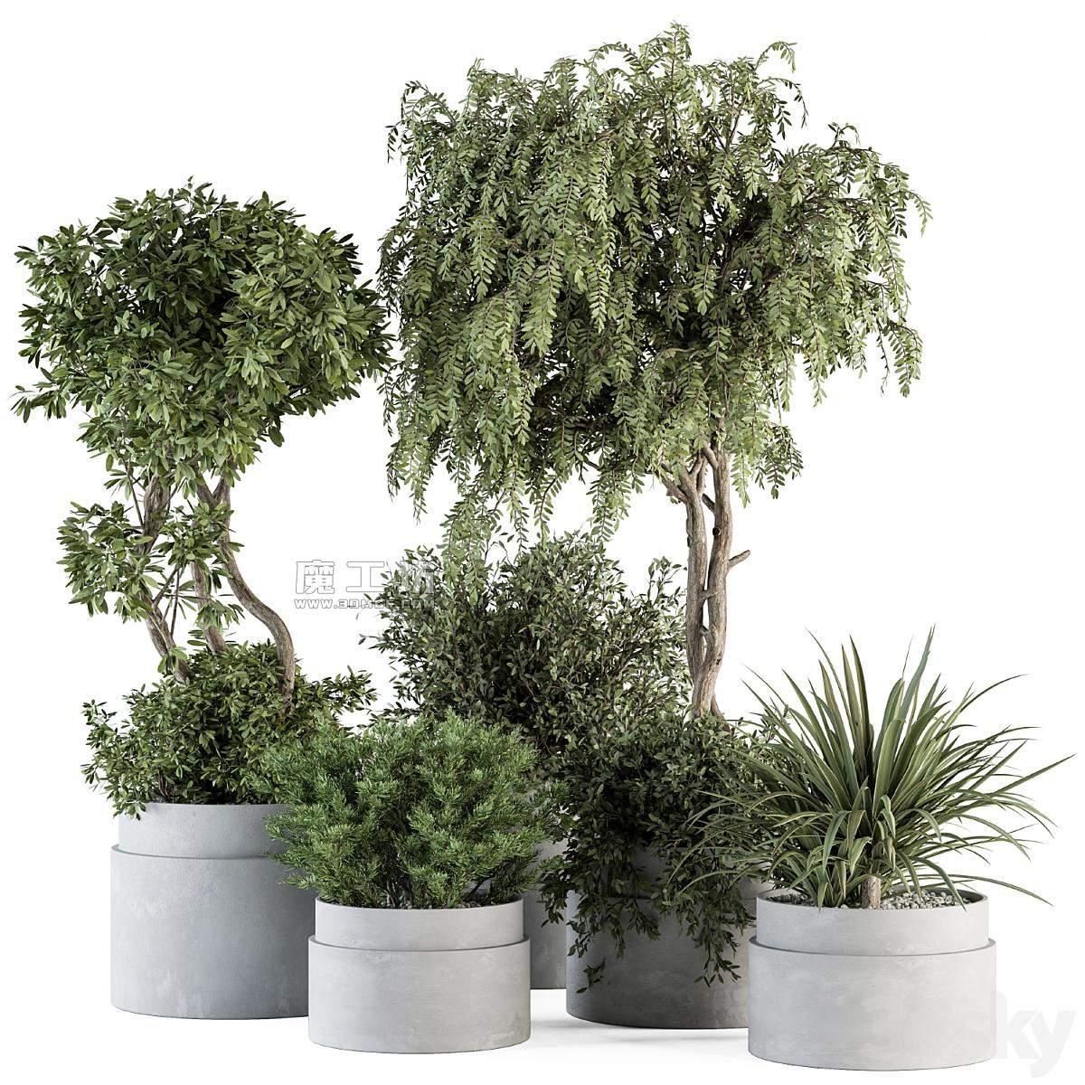 室内绿植盆栽模型