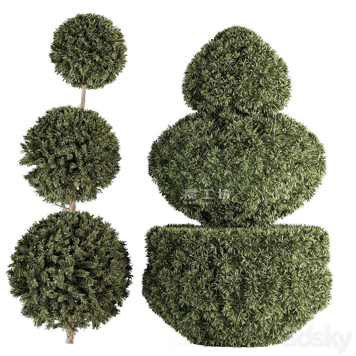 灌木绿植套装