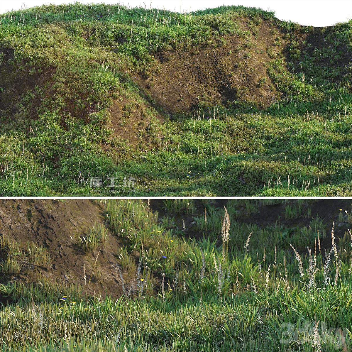 斜坡草地模型