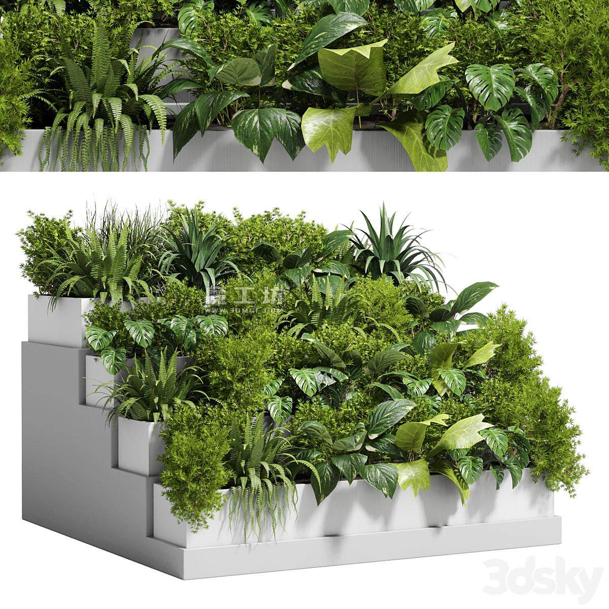 台阶植物装饰组合